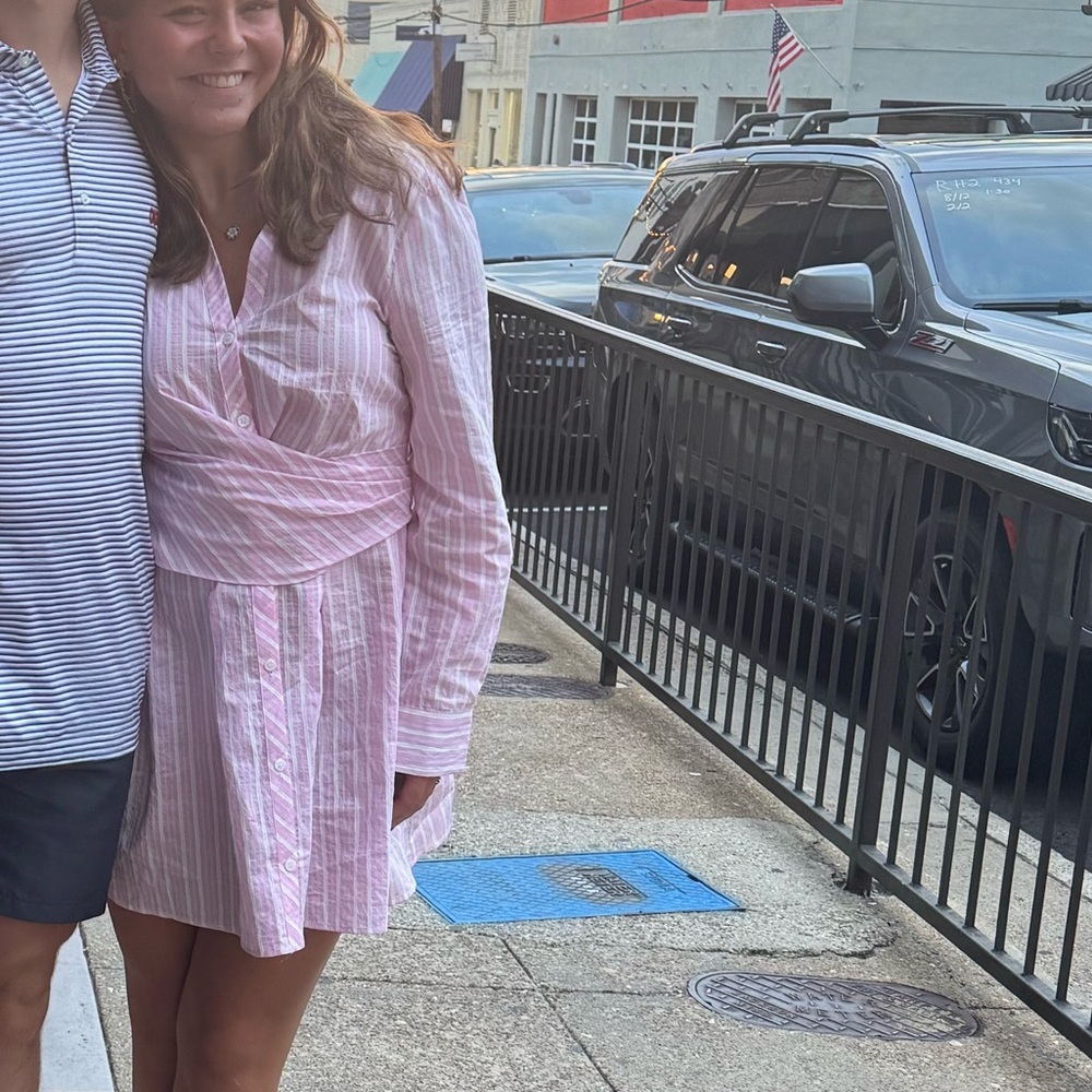 Zara Pink Striped Mini Dress